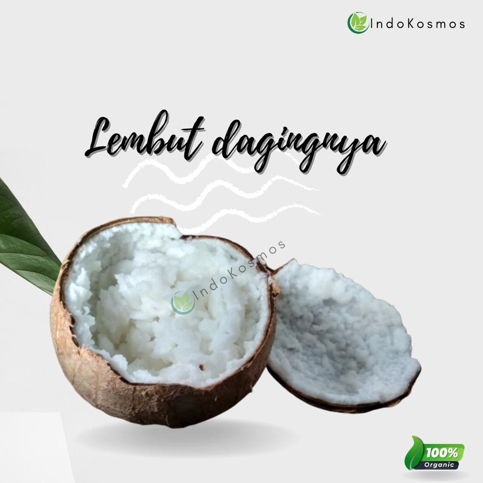 

C3pat.sampai Buah kelapa kopyor Size L (Ukuran Besar)S3ed4ng D!skonhqH9