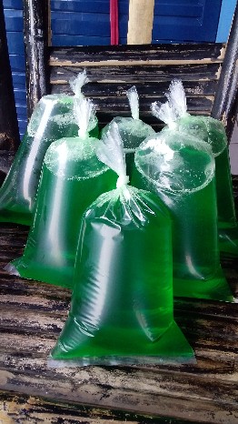 Paket Sabun Cuci Piring Anti Gagal