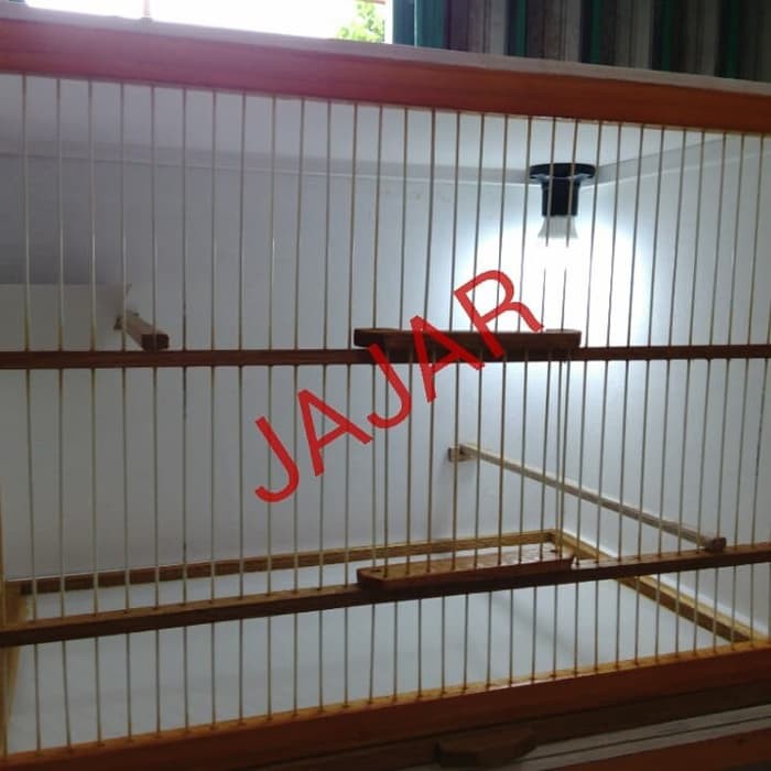 Spesial box kandang breeding, ternak kenari bongkar pasang Spesial