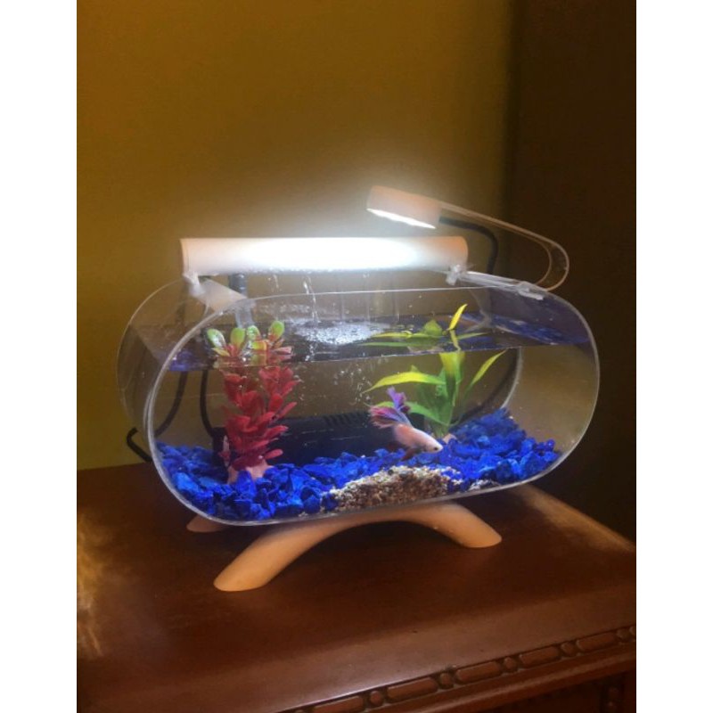aquarium mini full acrilik lampu+filter sirkulasi