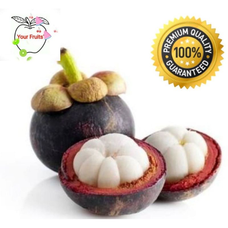 

BUAH MANGGIS ASLI PREMIUM