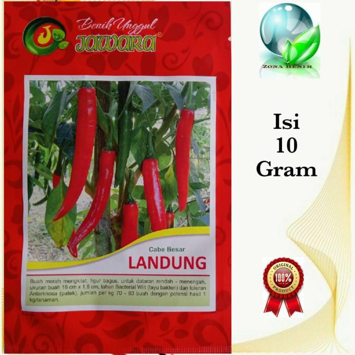 Benih Cabe Merah Besar LANDUNG isi 10gr Bibit Cabe