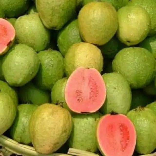 

Jambu Merah / Jambu biji / Buah segar