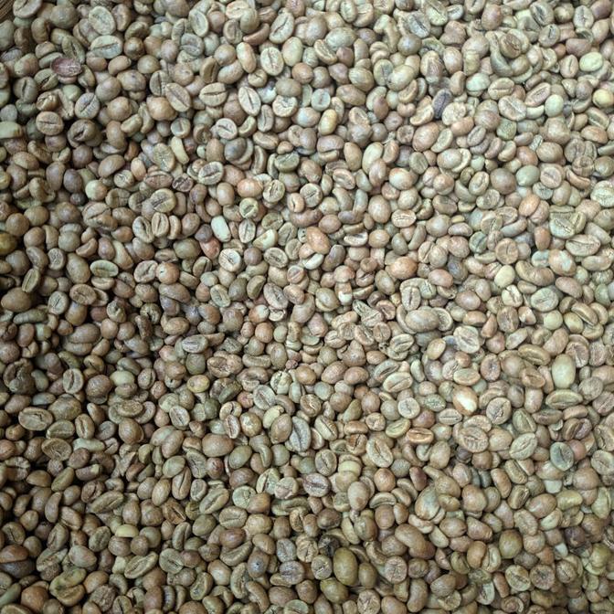 

GreenBean Robusta Lampung Grade A per 1kg
