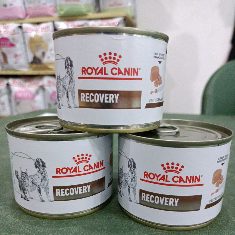 Royal Canin recovery Canned kucing /anjing /Rc recovery kaleng