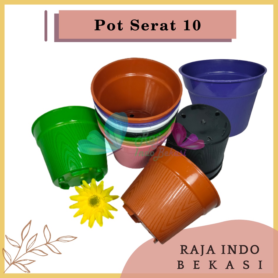 Lusinan (12Pcs) Pot 10cm TANPA LUBANG Lusinan Pot 10 cm Es Krim Pot Plastik Kaktus Mini Lucu