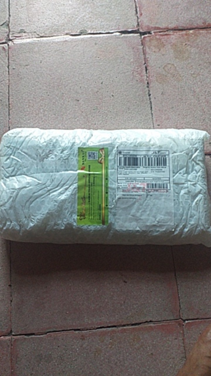 Electric Chain Saw Nankai