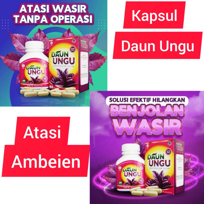 KAPSUL DAUN UNGU UNTUK WASIR AMBEIEN Herbal Ambeien Kapsul Daun Ungu Mengatasi Ambeyen Benjolan Wasir