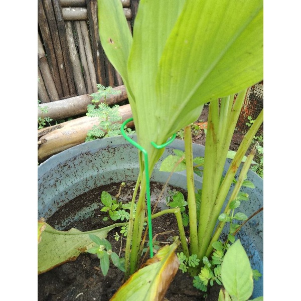 besi penyangga bibit tanaman