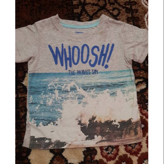 Gingersnaps tshirt boys uk 2y