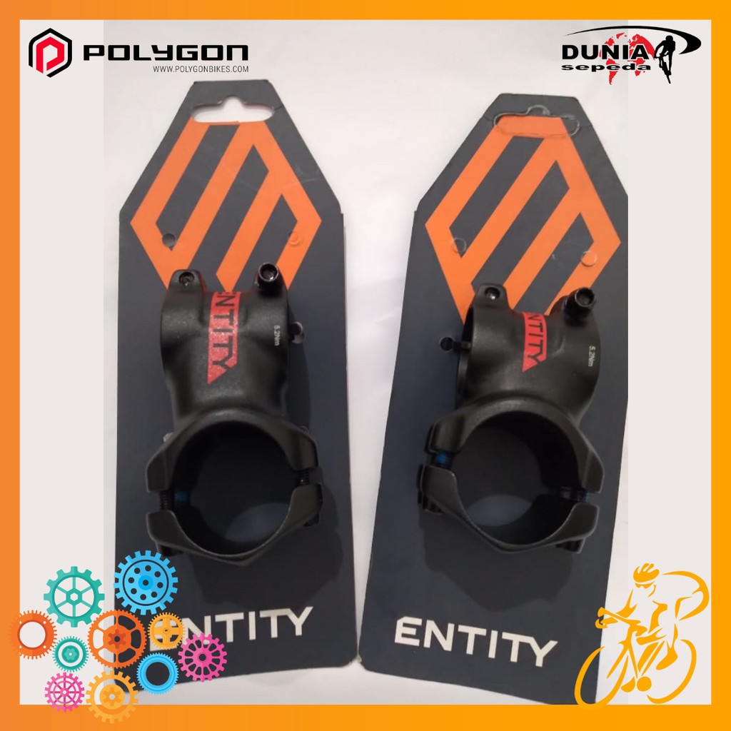 H. STEM EXPERT 31 Entity