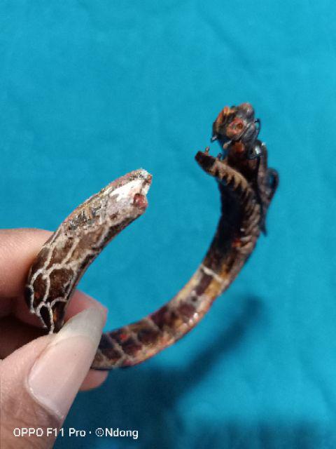 Akar Bahar Merah Cristal Asli Tembus Cahaya Ukir Naga Berkualitas.