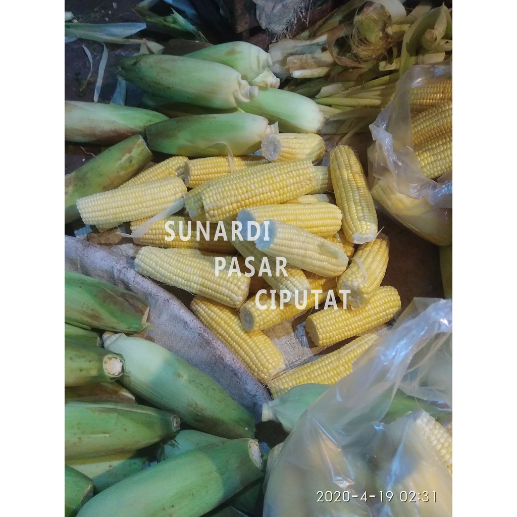 Jagung manis  kupas 1kg