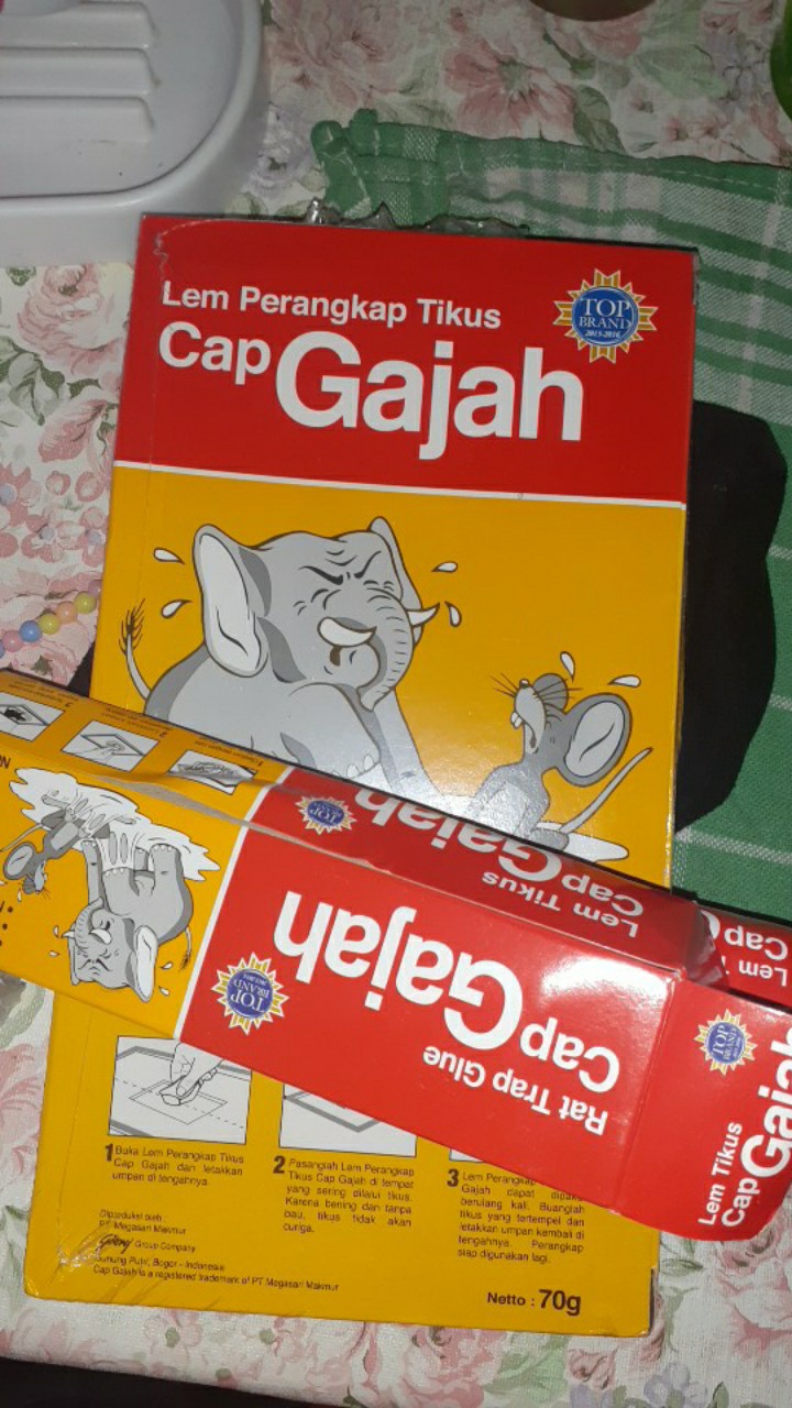 Lem Tikus Cap Gajah