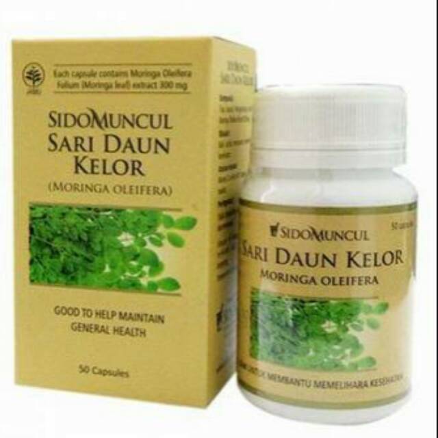 SidoMuncul Sari Daun Kelor