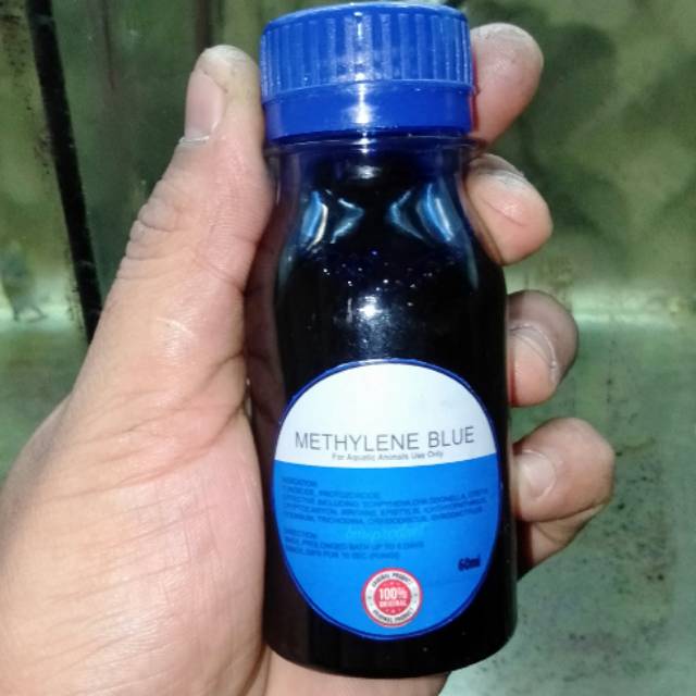 Obat Biru 60ml (Methylene Blue) Untuk Ikan Cupang/Arwana/Louhan/ikan Koi/Guppy