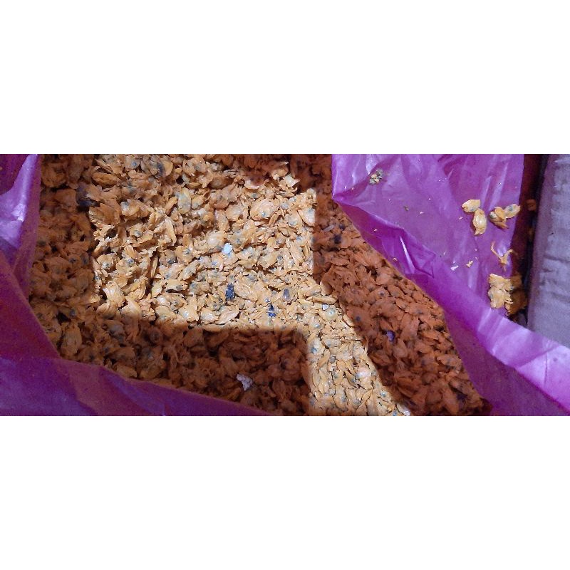 

ikan asin remis