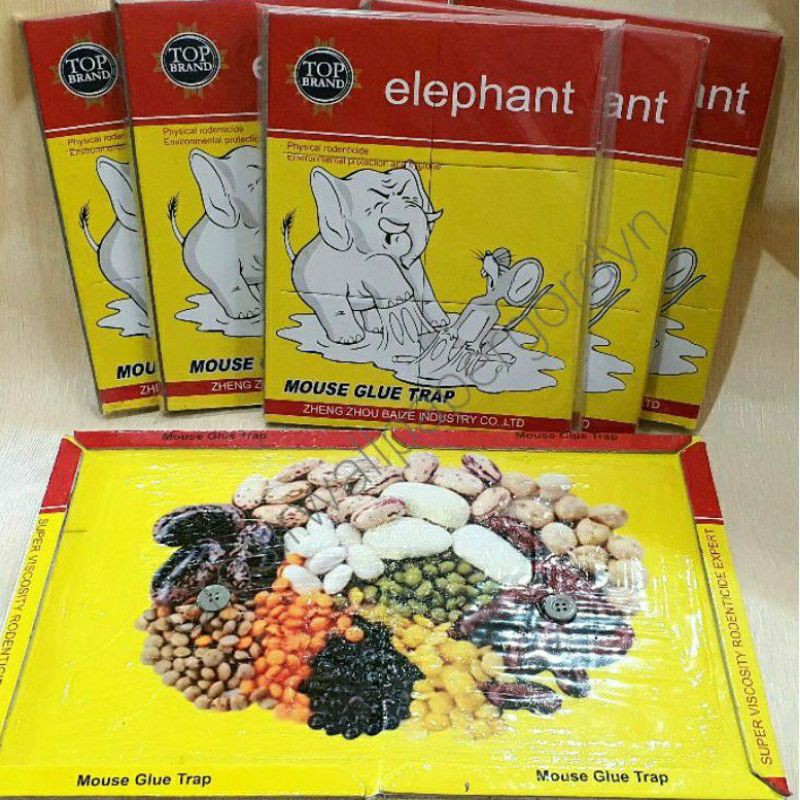 LEM TIKUS ELEPHANT KUALITAS SUPER IMPORT