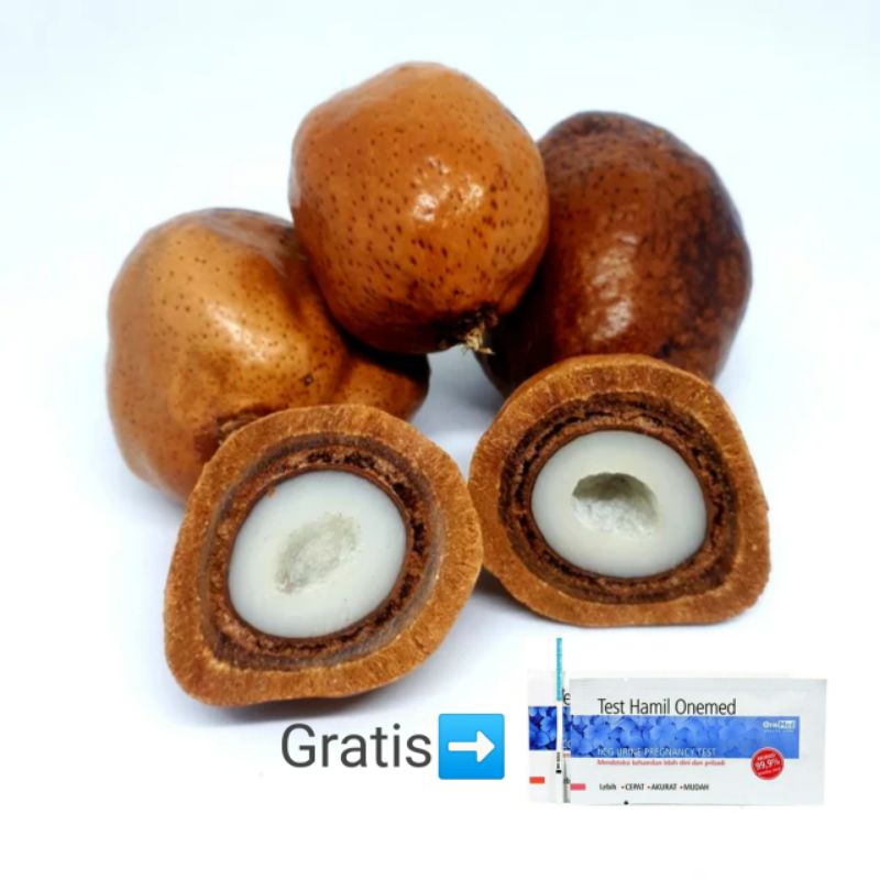 

Buah Zuriat Mesir Program Hamil Promo Gratis Test Kehamilan 1kg