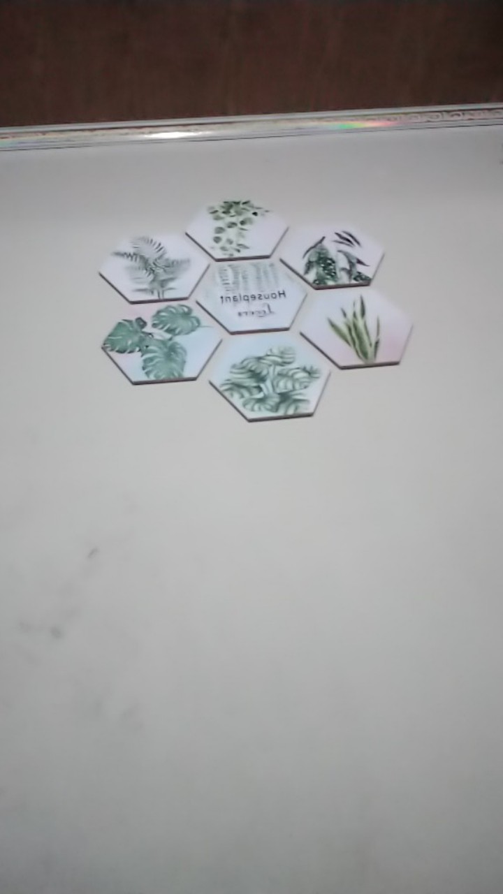 20cm Hiasan Dinding Pajangan Hexagonal Daun Tropical Monstera Bunga Vintage Bunga Matahari