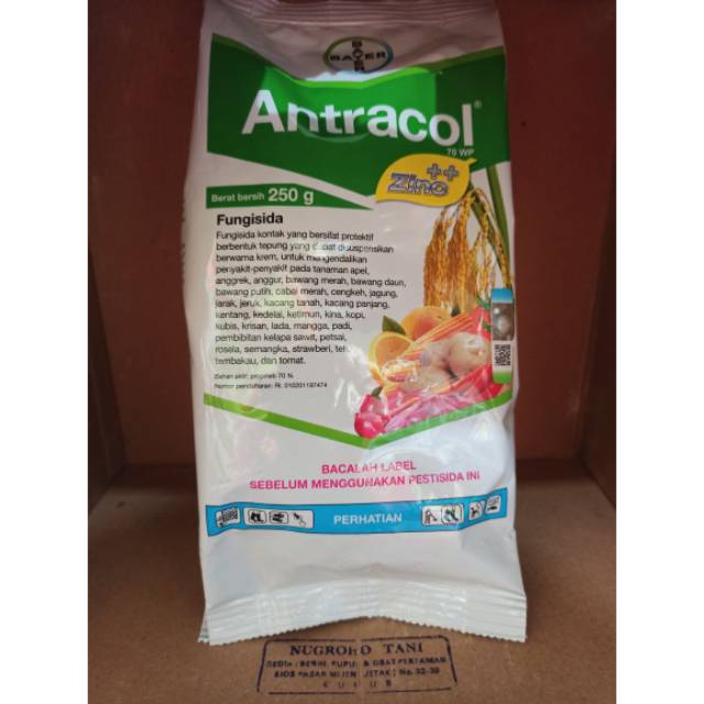 FUNGISIDA ANTRACOL 70 WP + ZINC 250 GRAM BAYER