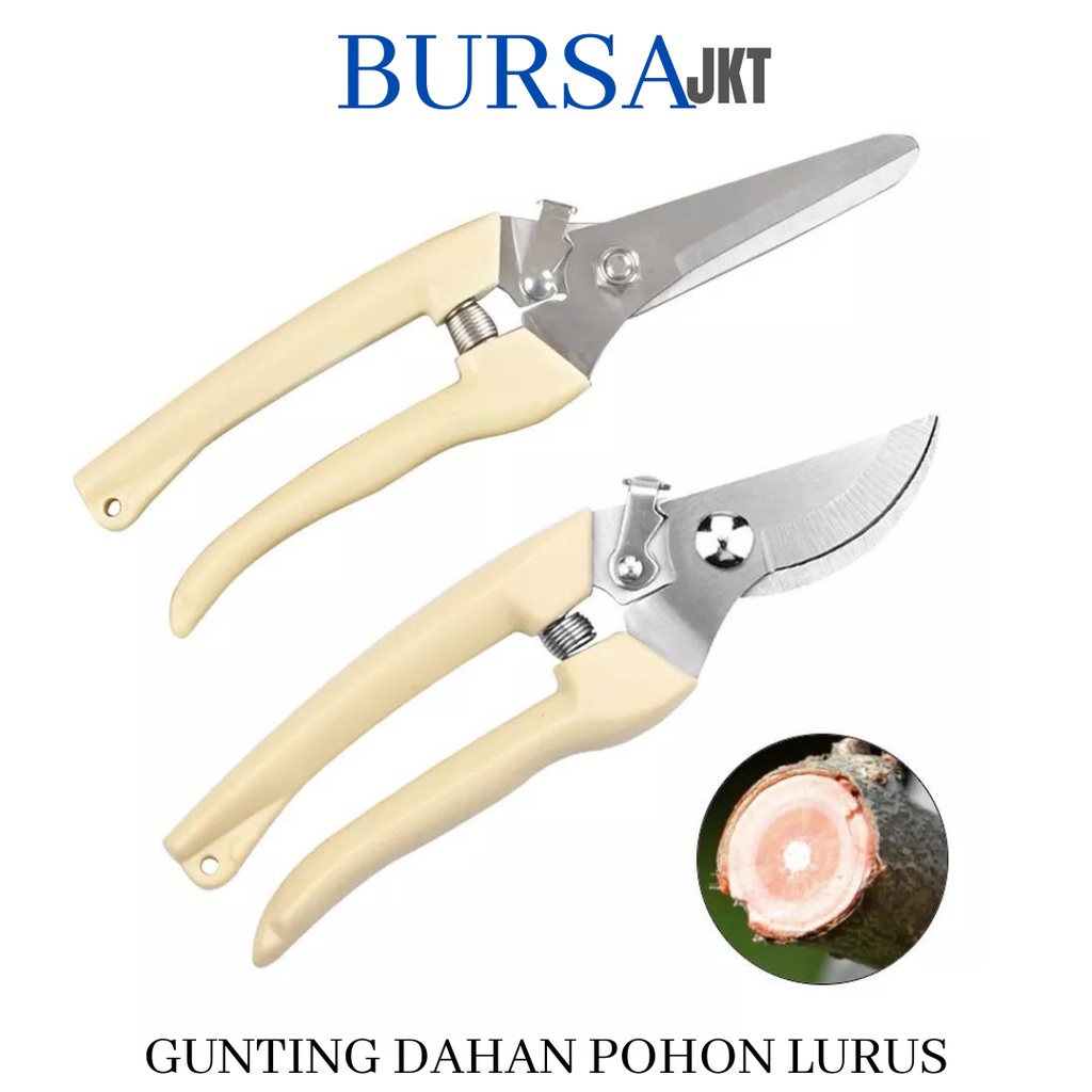 GUNTING DAHAN RANTING BUNGA TANAMAN LURUS PERALATAN BERKEBUN PRUNING SHEARS LURUS