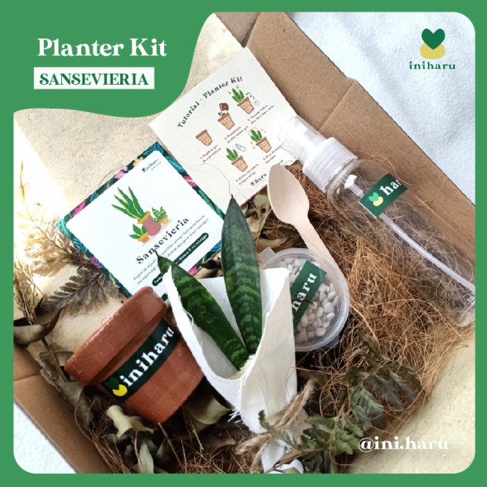 

HAMPERS PLANTER KIT // PAKET TANAMAN SANSEVIERIA - BARU