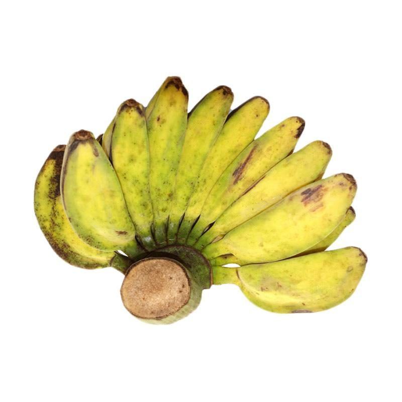 

Pisang kepok - 1 sisir