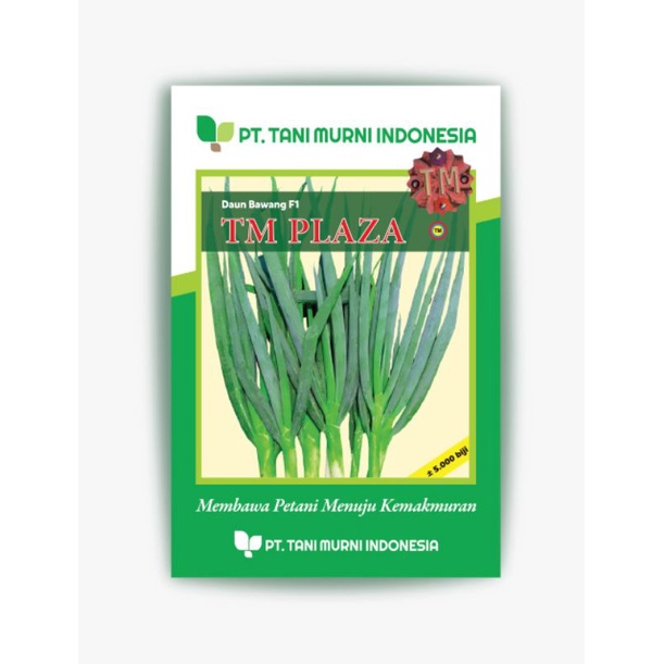 benih bawang daun TM PLAZA 5000biji