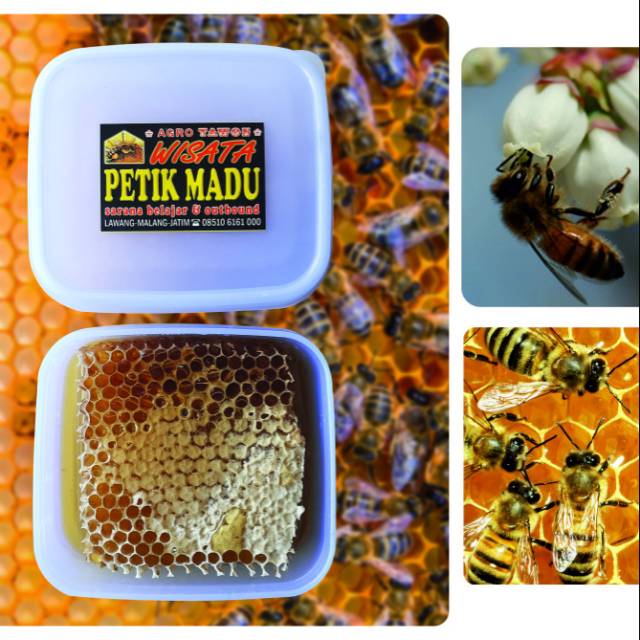 

Madu Sarang Honey Comb Fresh Honey 250gram