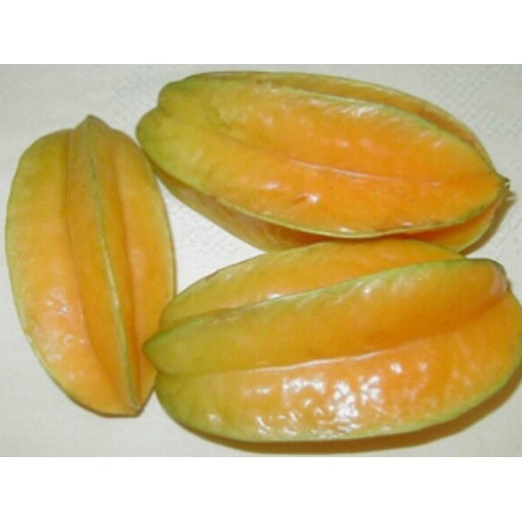 

Belimbing Madu Besar per buah