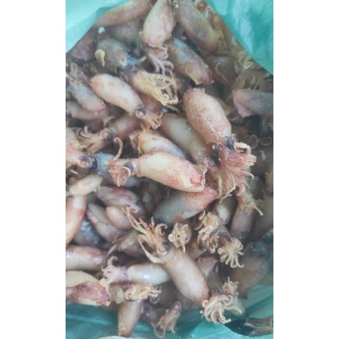 

Baby Cumi Asin 1/4kg 250gr