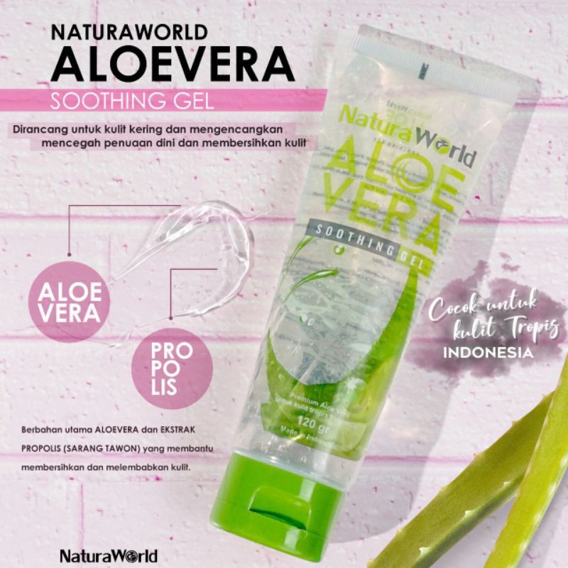 Aloevera mengobati ketombe dan rambut rontok