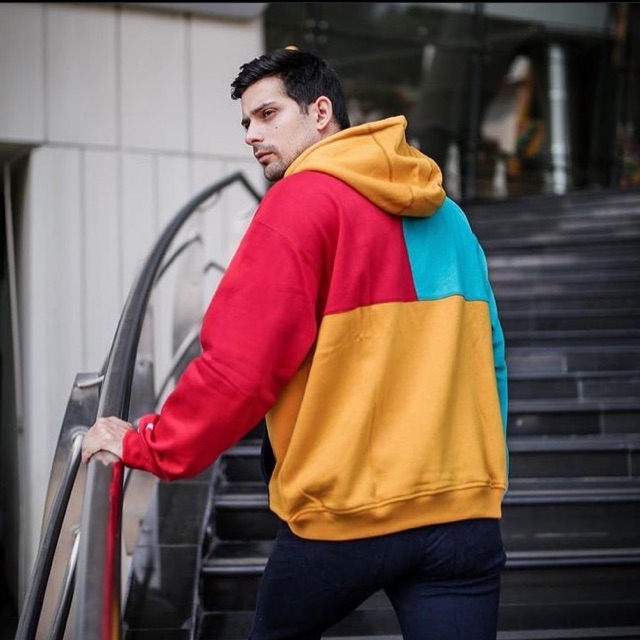 Serval.co multicolor hoodie limited