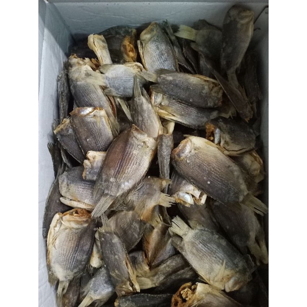 

ikan Asin Tembakang/Sepat Biawan 1 Kg Fresh