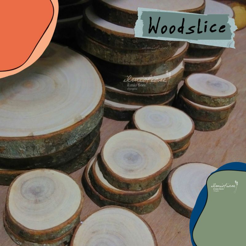 Woodslice Wood Slice Potongan Kayu Dekorasi Rustic
