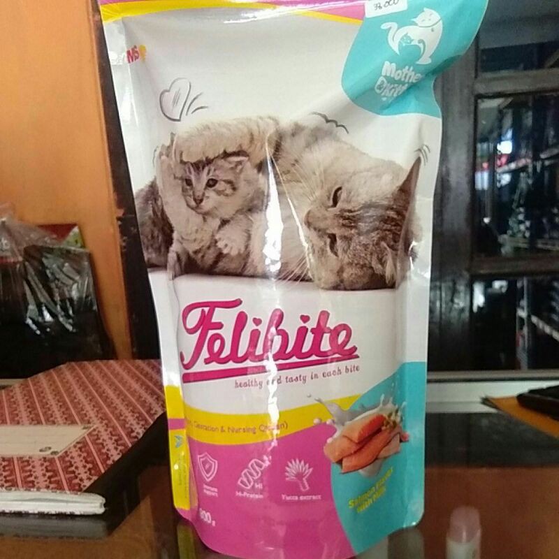 Felibite Mother & Kitten