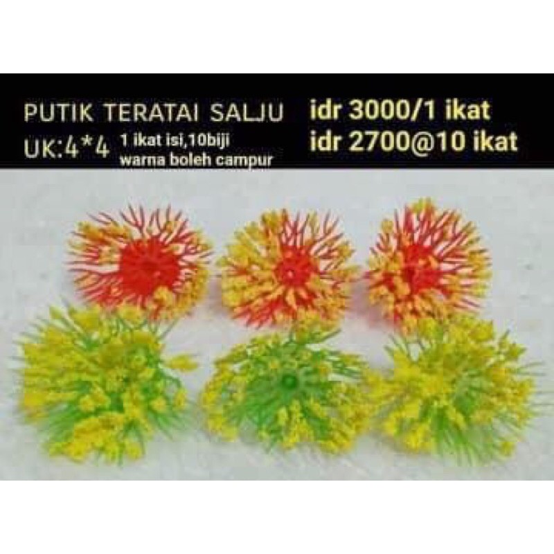 putik teratai salju Bunga stoking