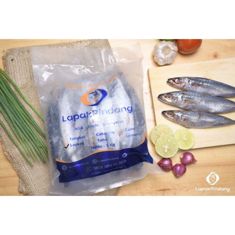 

Frozen ikan layang segar