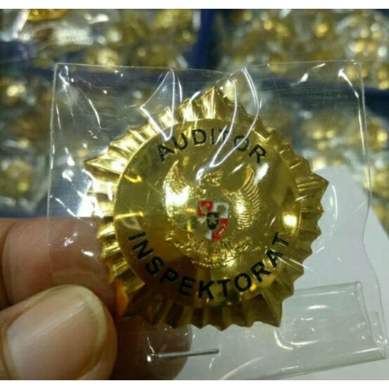 PIN auditor inspektorat PIN inspektorat auditor Bros inspektorat auditor Bros auditor inspektorat