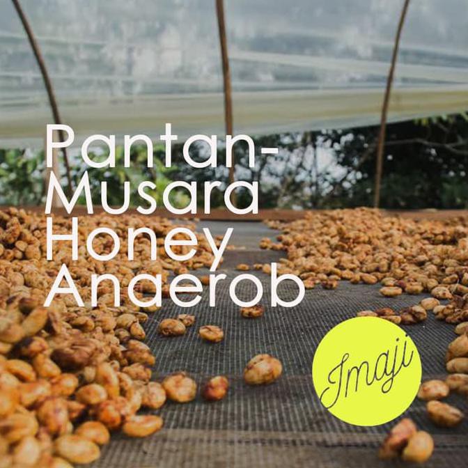 

Kopi Arabica Pantan Musara Anaerob Honey 200 gram, by IMAJI KOPI