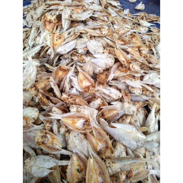 

Ikan asin trisi paling murah