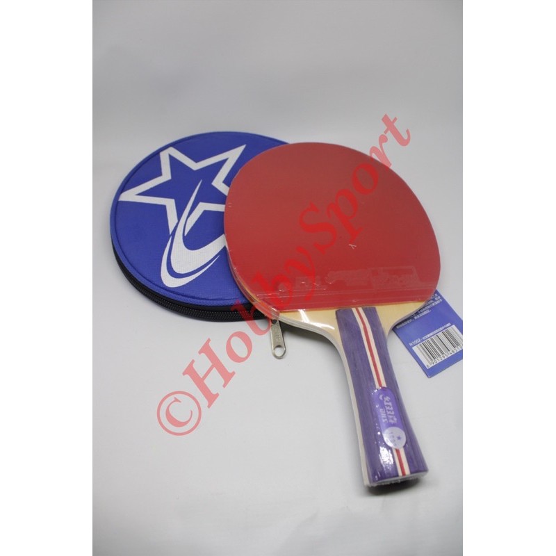 Bat Bet Bad Pingpong DHS 1002 + Case Tenis Meja Ping Pong Table