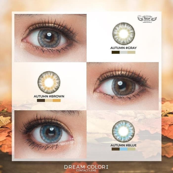 Softlens Autumn Dreamcolor1 DC1 Dreamcon Korea Gray Brown Normal Minus lensa kontak