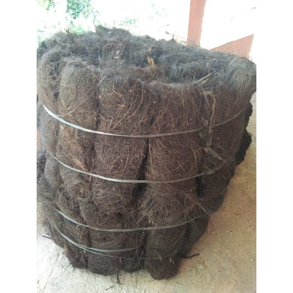 

1 kg Ijuk injuk kasar