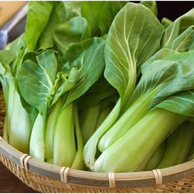 

Pakcoy/Bok Choy 500 gram - sayur curah