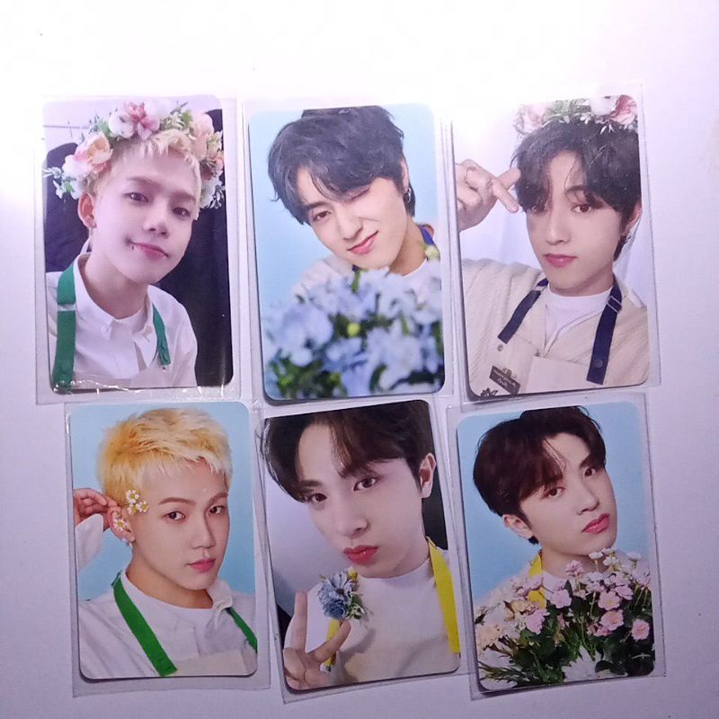 pc md tincase blooming treasure