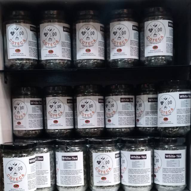 

Silver Needle White Tea (Teh Putih) Klon Unggul GMB Gambung, Kualitas Premium