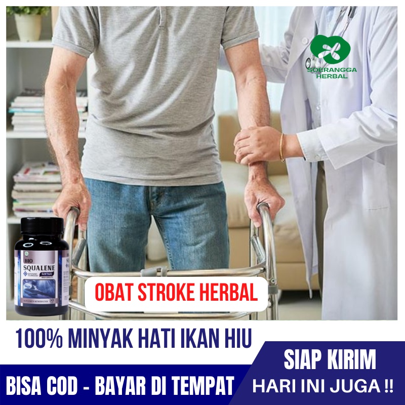 Obat Stroke, Herbal Stroke / Struk, Obat Stroke Ringan, Stroke Cina, Angkung Obat Stroke, BUKAN Stro