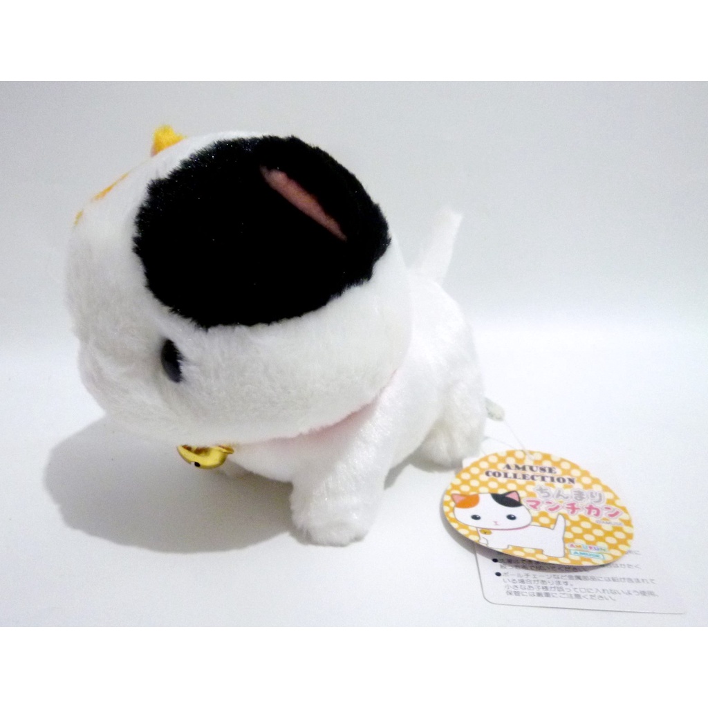 Boneka Kucing Chinmari Munchkin Cat Plushie Amuse Original Jepang